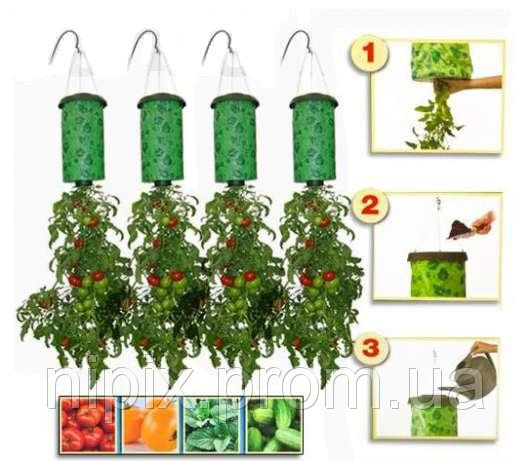 1_ustrojstvo-dlya-virashivaniya-pomidor-plantaciya11027